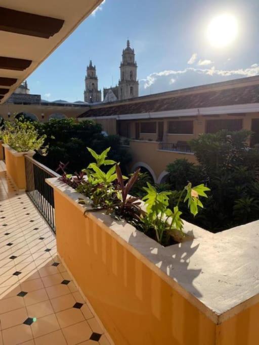 Apartamento Casita Coral Chelem Exterior foto